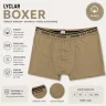 Asker Boxer